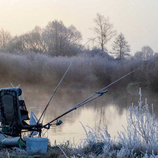 The Best Bait for Carp Fishing in Winter