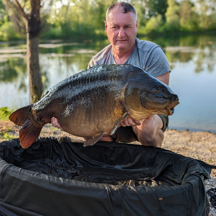 Best Particle Bait Mixes for Carp Fishing in the Summer