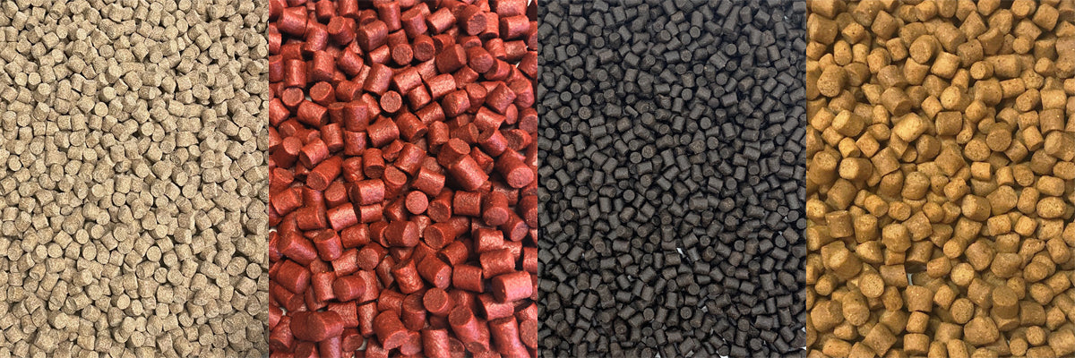 Different Types of Fishing Pellets