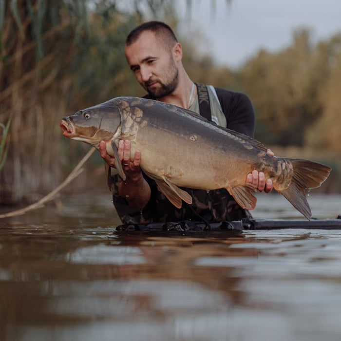 Mastering Shallow Pole Fishing