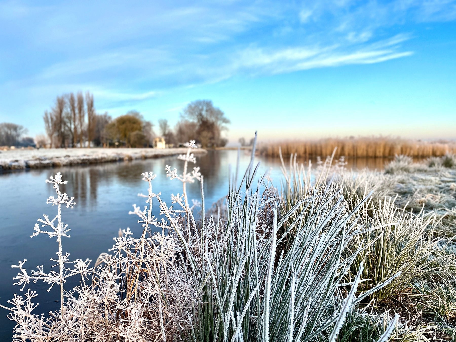 The Best Bait for Carp Fishing in Winter