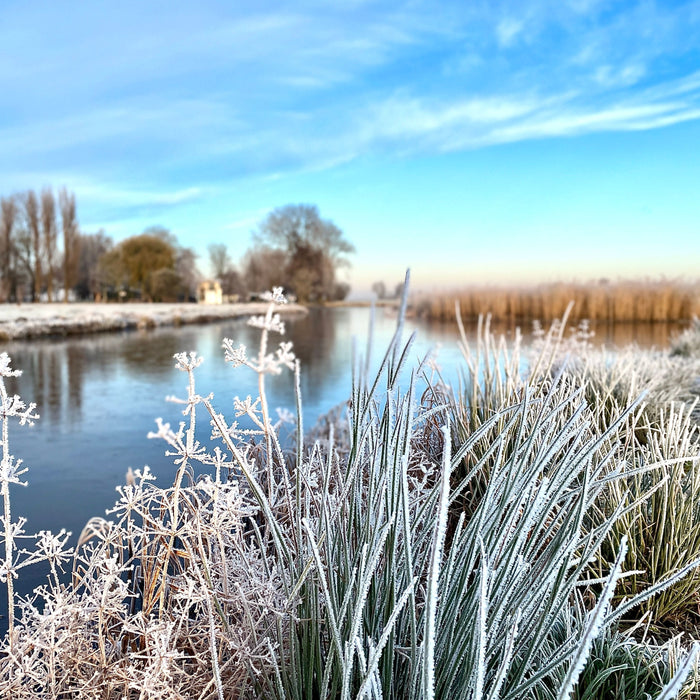 The Best Bait for Carp Fishing in Winter