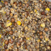 Apex Maple Maize Cooked Spod Mix